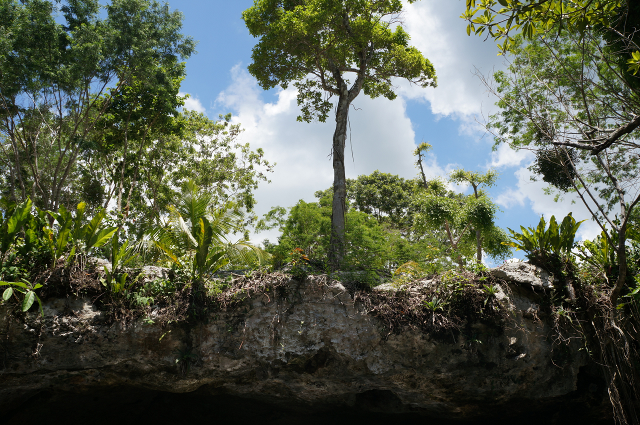 Cenote in Yucatan, Mexico